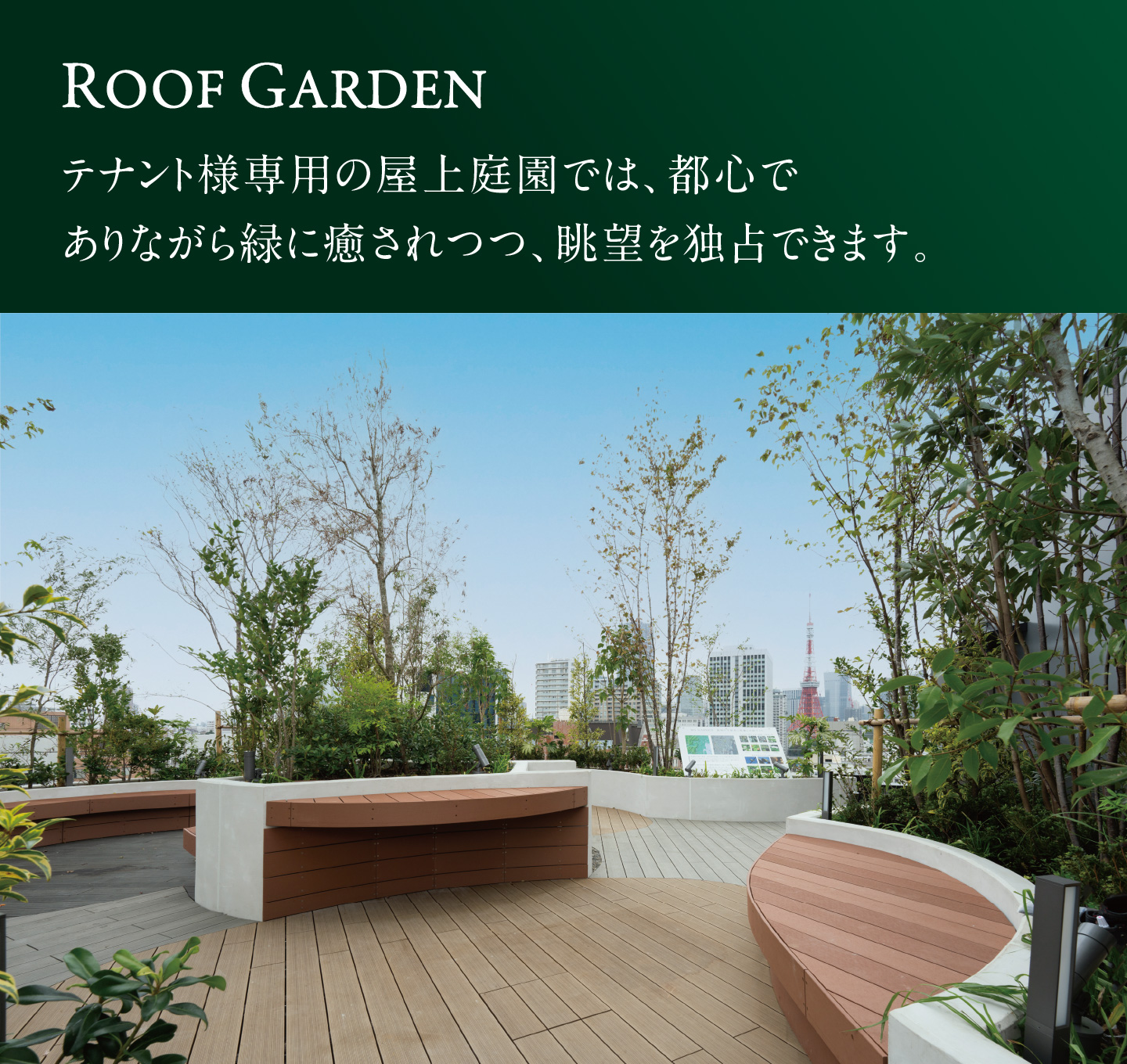 Roof Garden